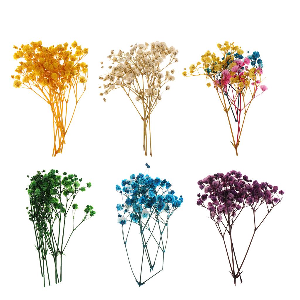 Resin Craft Ideas - Pressed Dried Natural Flowers and Leaves