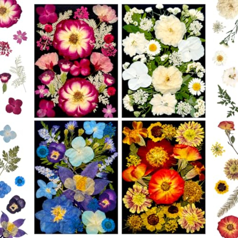 Pressed Dried Flowers for Resi - Dried Flower Bulk 리뷰 및 가격