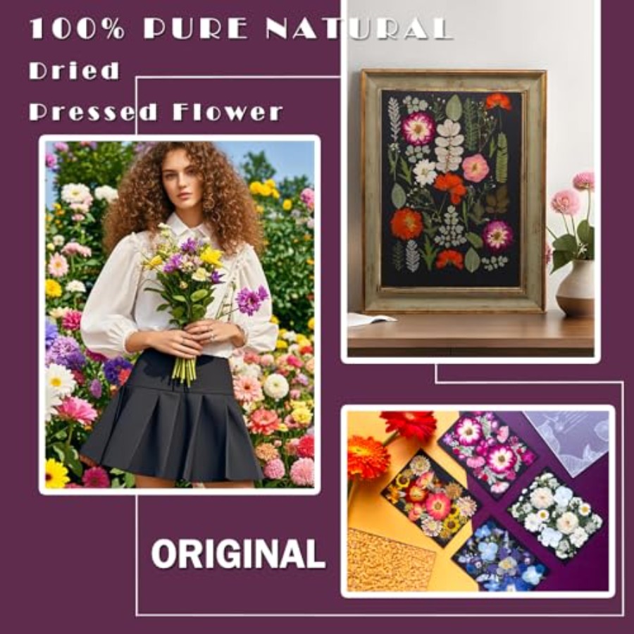 Pressed Dried Flowers for Resi - Dried Flower Bulk 리뷰 및 가격