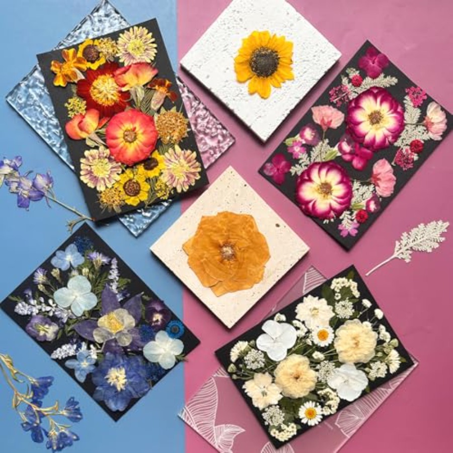 Pressed Dried Flowers for Resi - Dried Flower Bulk 리뷰 및 가격
