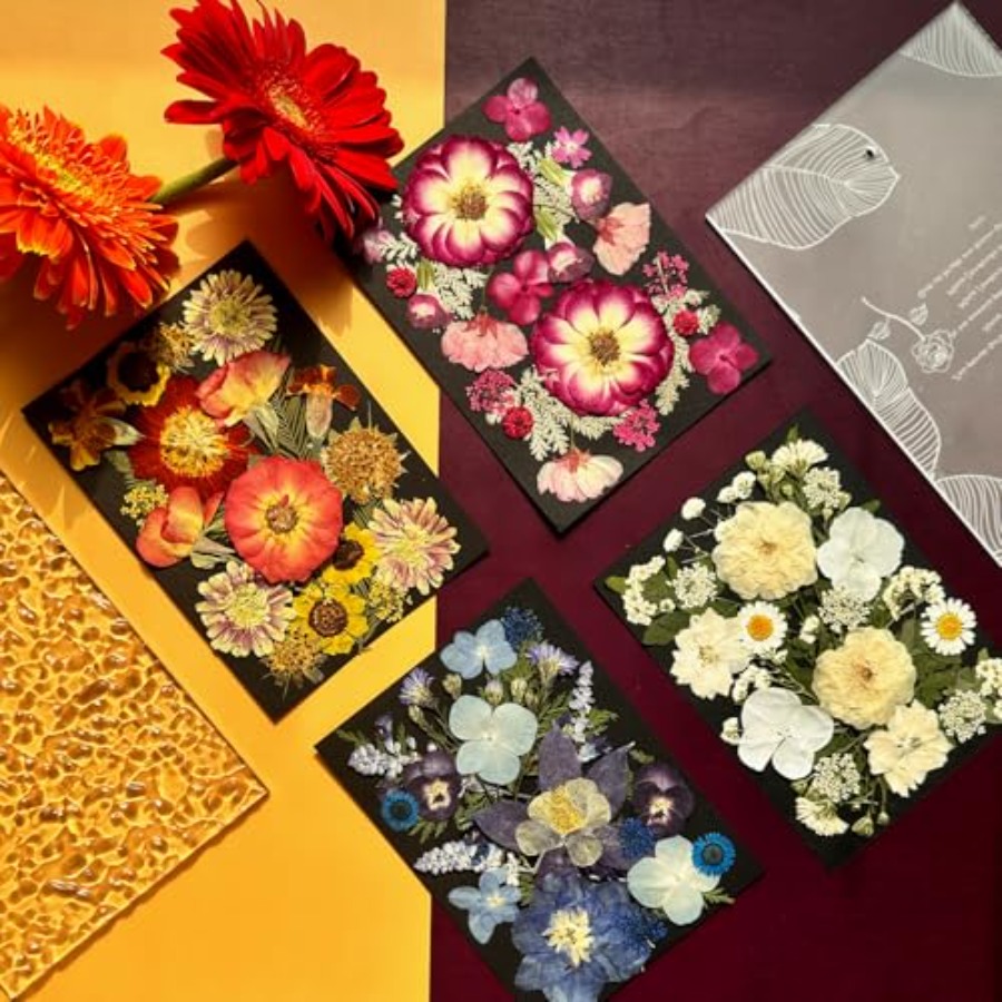Pressed Dried Flowers for Resi - Dried Flower Bulk 리뷰 및 가격