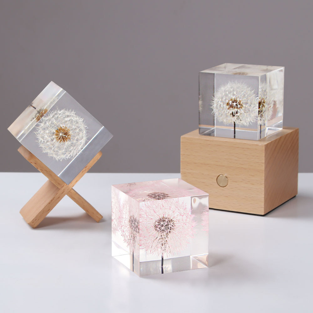 Dandelion preserved fresh flow - Flower Preservation Resin 리뷰 및 가격