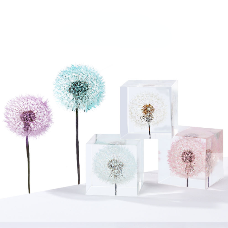 Dandelion preserved fresh flow - Flower Preservation Resin 리뷰 및 가격