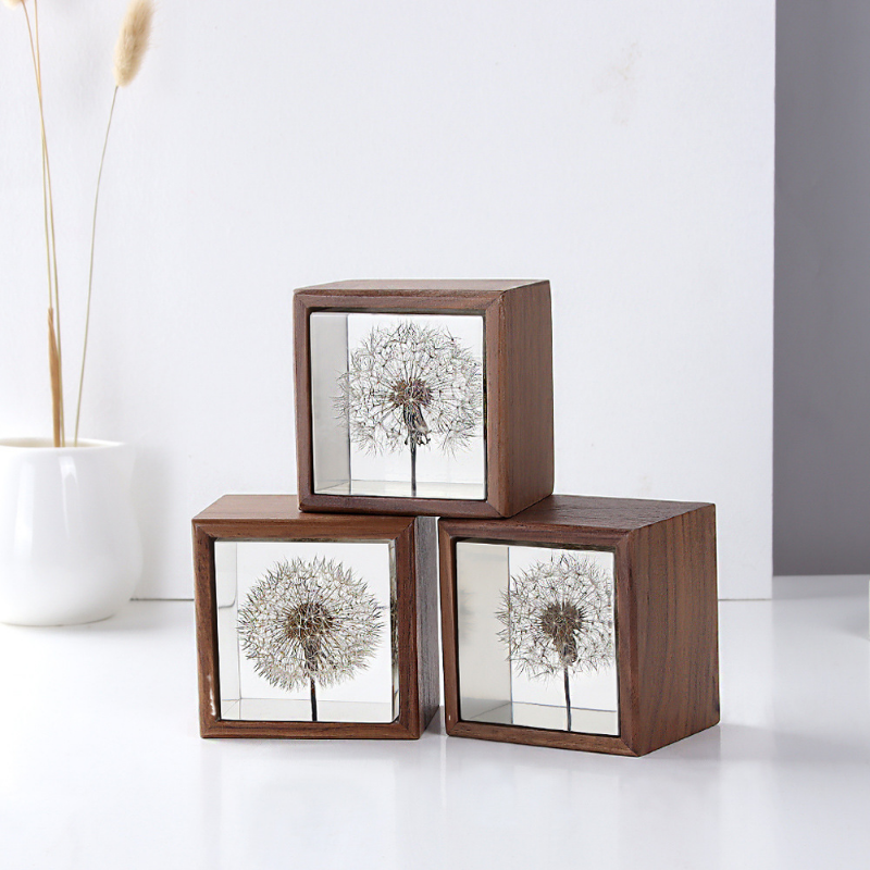 Dandelion preserved fresh flow - Flower Preservation Resin 리뷰 및 가격