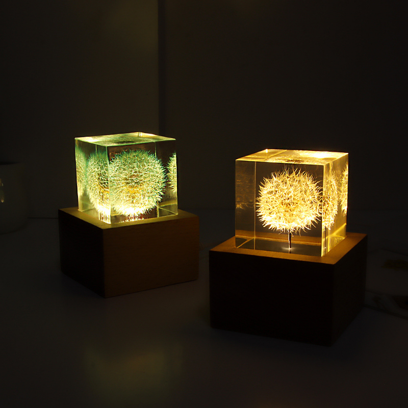 Dandelion preserved fresh flow - Flower Preservation Resin 리뷰 및 가격