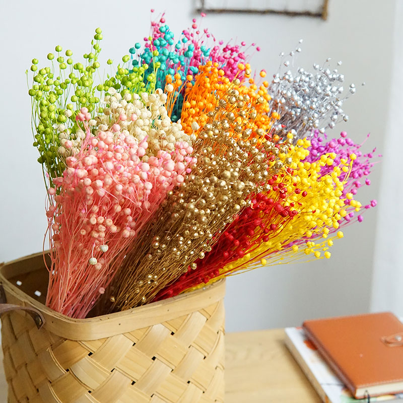 35g/Preserved Ormosia Hosiei N - Dried Flower Bulk 리뷰 및 가격