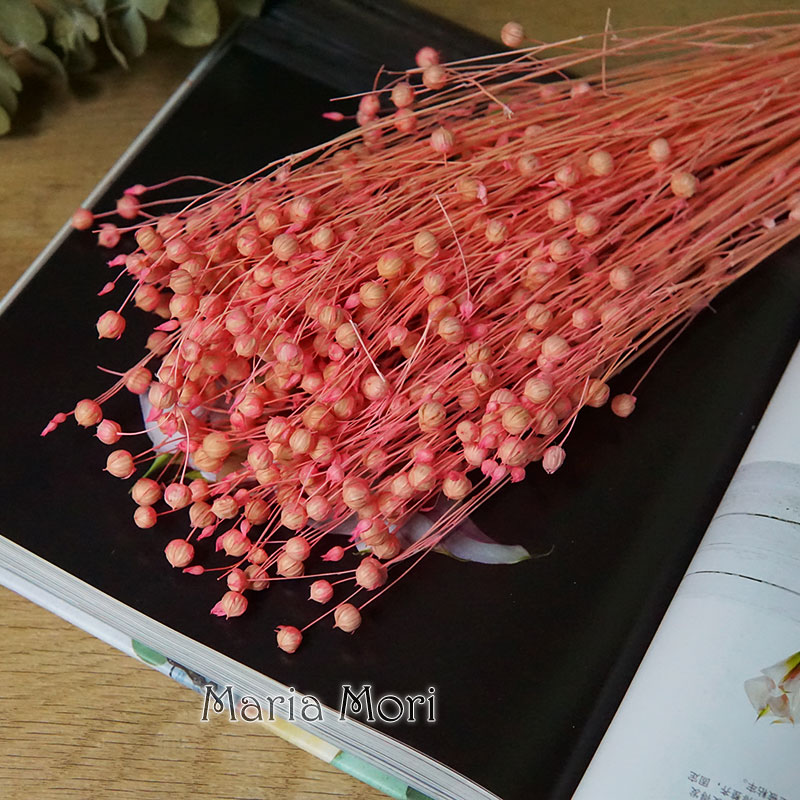 35g/Preserved Ormosia Hosiei N - Dried Flower Bulk 리뷰 및 가격