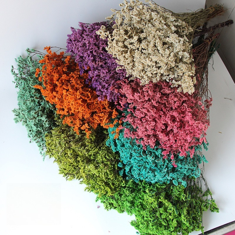Real Crystal Dried Flowers,Nat - Dried Flower Bulk 리뷰 및 가격