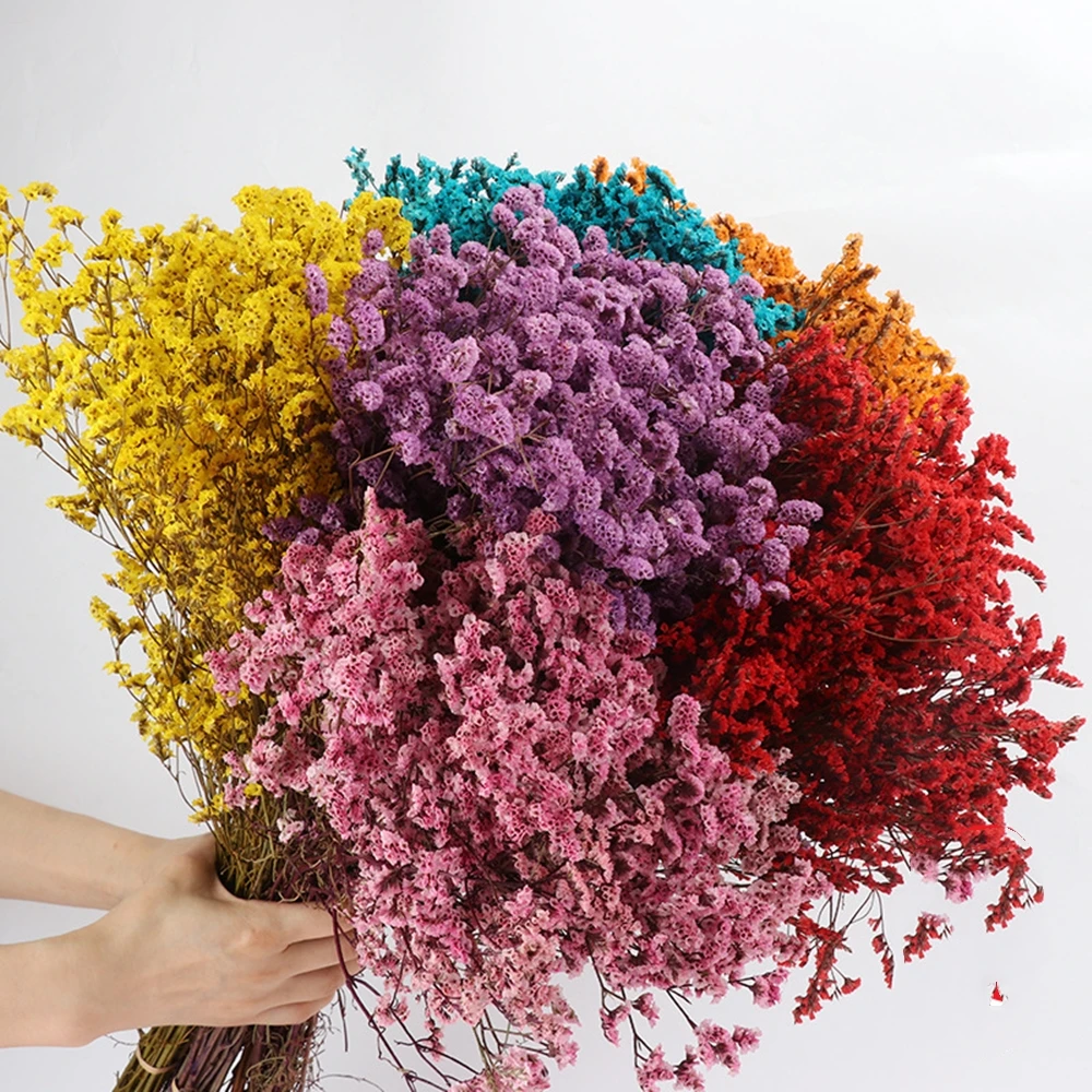 Real Crystal Dried Flowers,Nat - Dried Flower Bulk 리뷰 및 가격