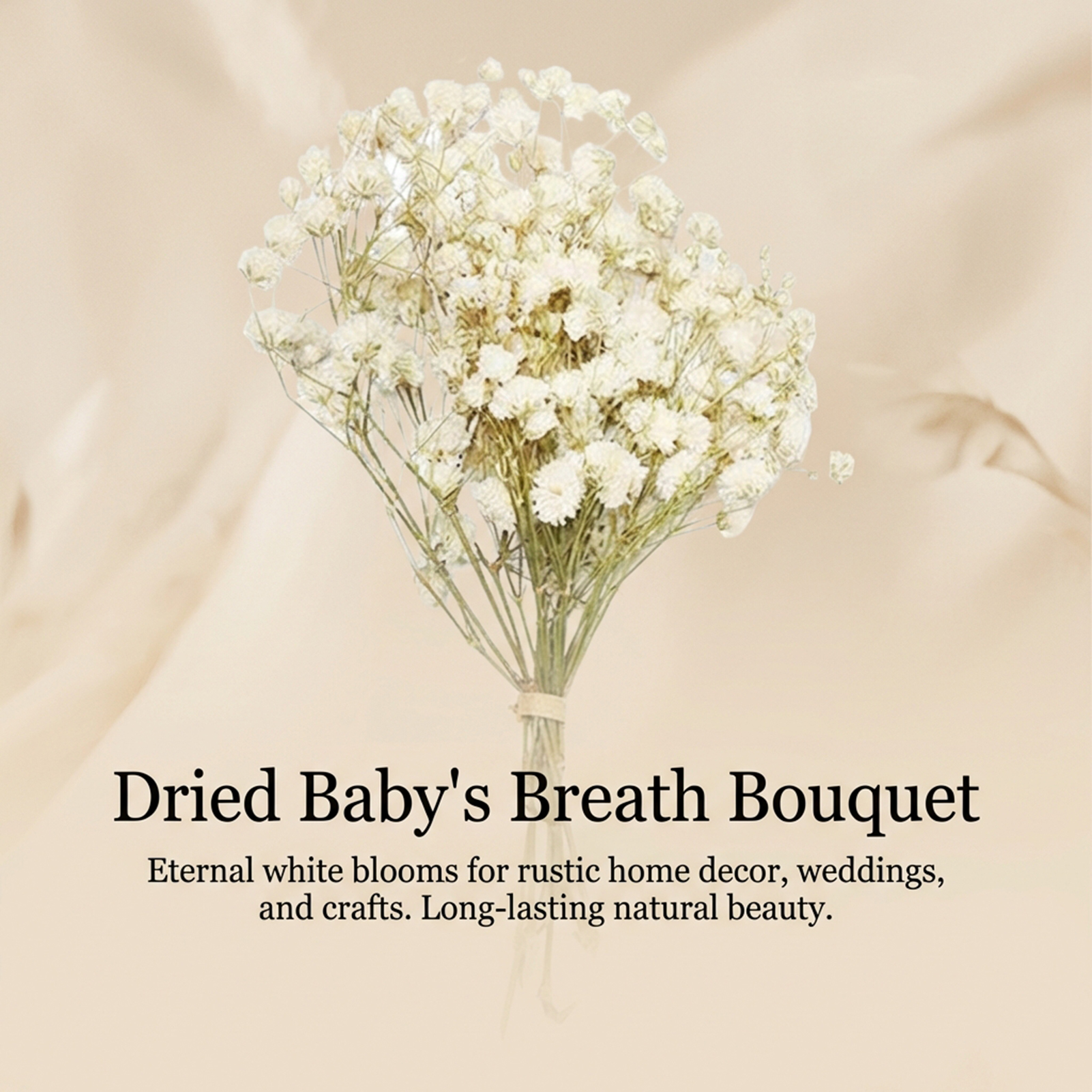Preserved Mini Flower Bouquet  - Dried Flower Bulk 리뷰 및 가격