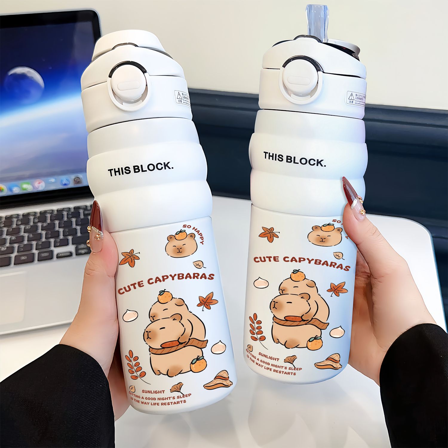 Capybara Cute Children's Insul - Vacuum Chamber Small 리뷰 및 가격