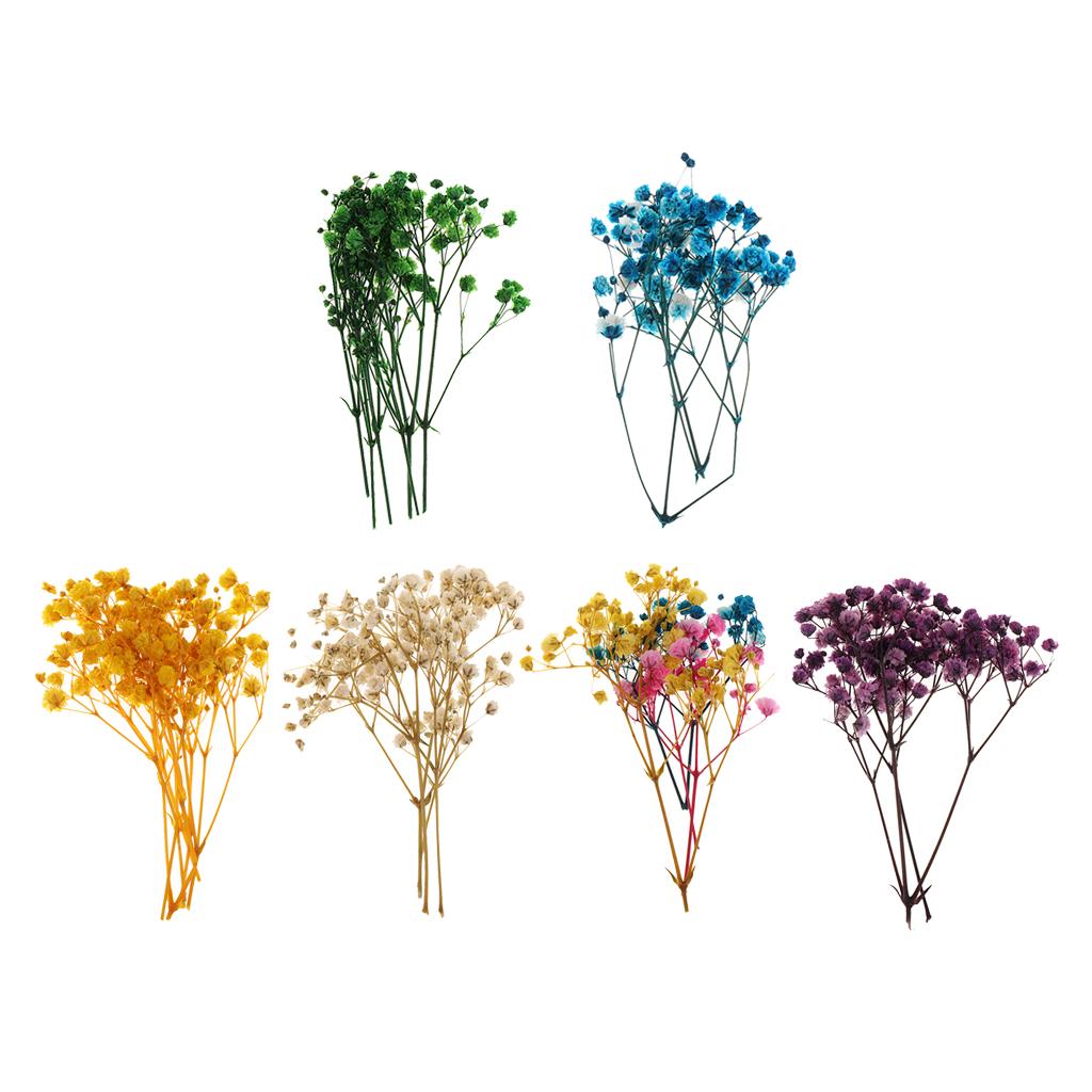 Pressed Dried Natural Flowers  - Resin Craft Ideas 리뷰 및 가격