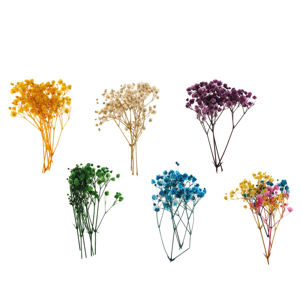 Pressed Dried Natural Flowers  - Resin Craft Ideas 리뷰 및 가격