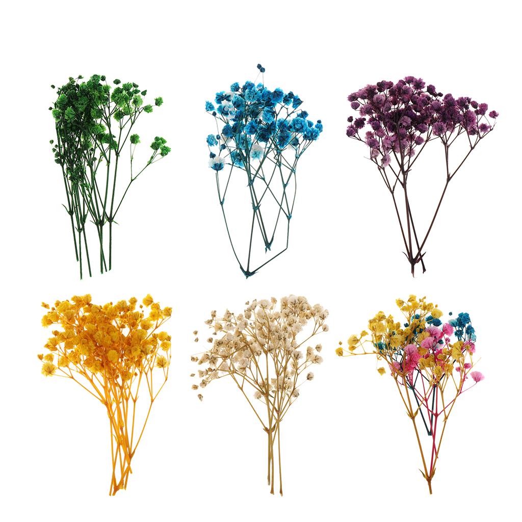 Pressed Dried Natural Flowers  - Resin Craft Ideas 리뷰 및 가격