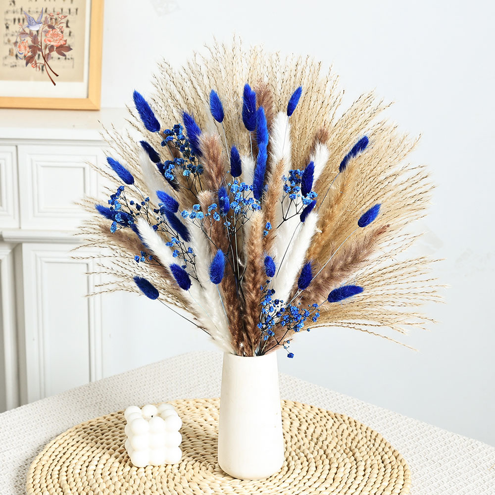 70 Stem Blue Fluffly Rabbit Ta - Dried Flower Bulk 리뷰 및 가격