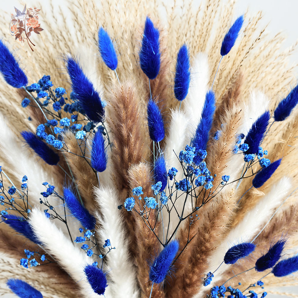 70 Stem Blue Fluffly Rabbit Ta - Dried Flower Bulk 리뷰 및 가격
