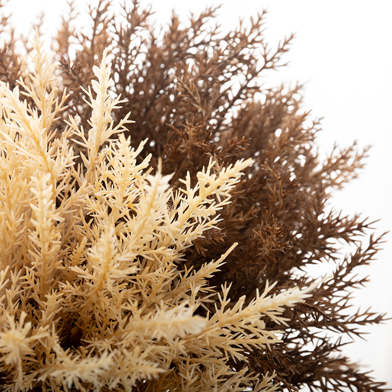 Sandy Beige Wheatgrass Artific - Dried Flower Bulk 리뷰 및 가격