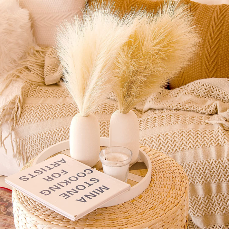 10Pcs Artificial Pampas Grass  - Dried Flower Bulk 리뷰 및 가격