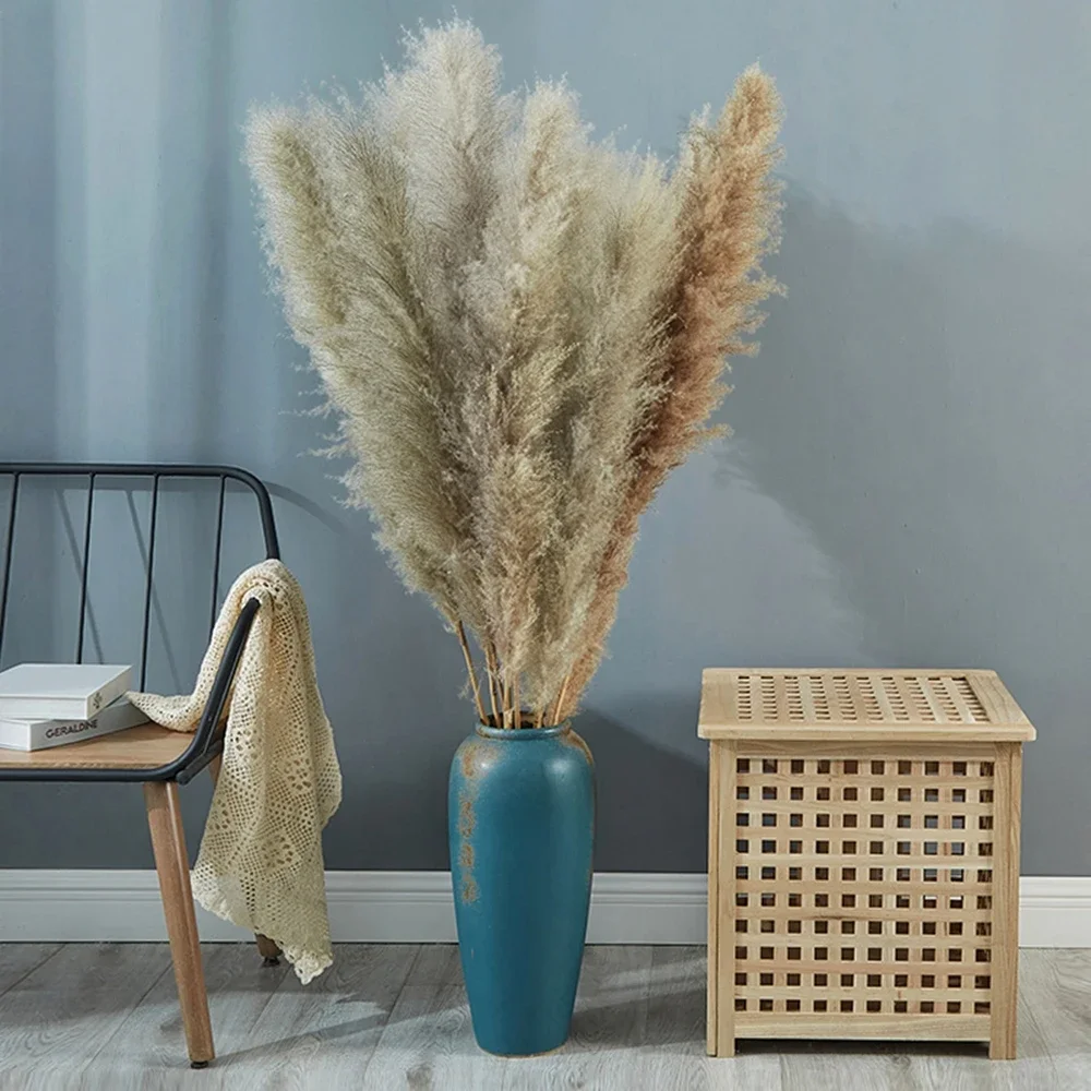 120cm - 130cm Fluffy Large Pam - Dried Flower Bulk 리뷰 및 가격