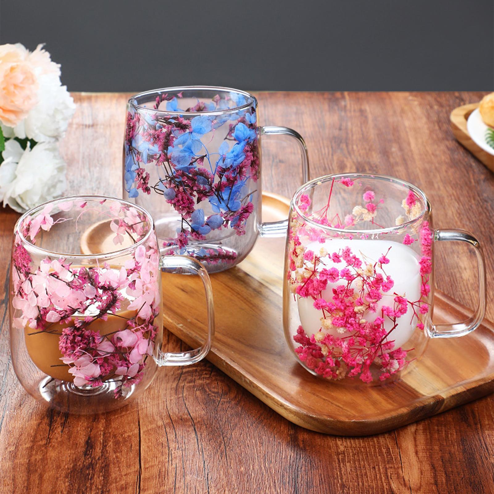 450ml Double Wall Glass Coffee - Dried Flower Bulk 리뷰 및 가격