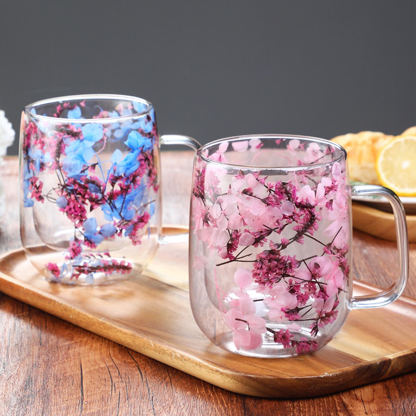 450ml Double Wall Glass Coffee - Dried Flower Bulk 리뷰 및 가격