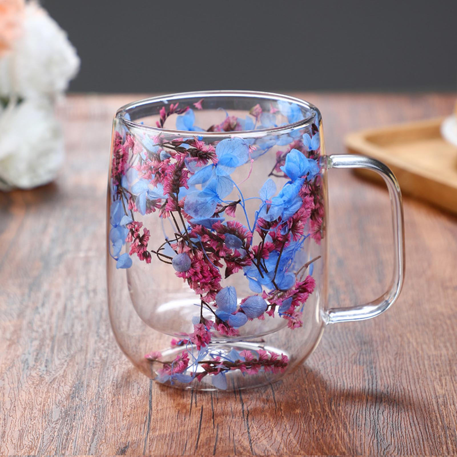 450ml Double Wall Glass Coffee - Dried Flower Bulk 리뷰 및 가격