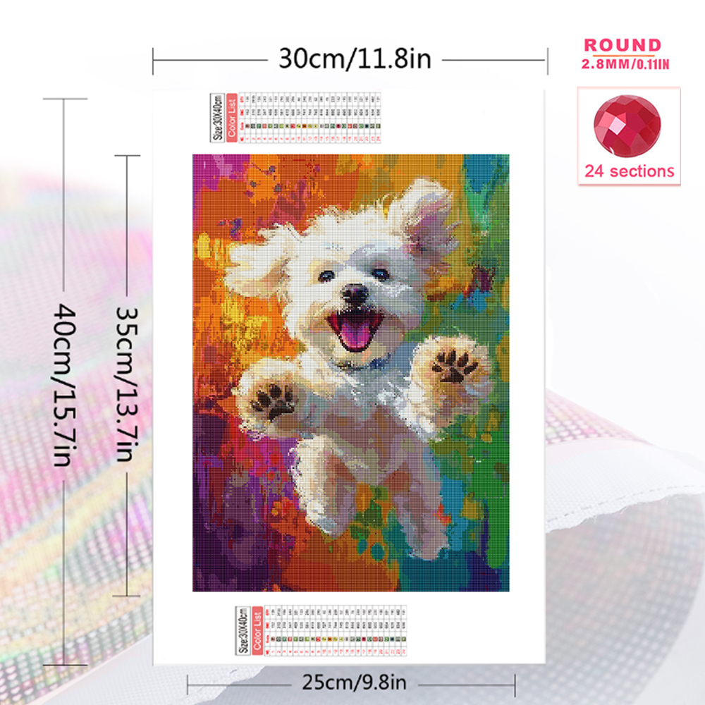 Momoart DIY Diamond Painting D - Resin Craft For Beginners 리뷰 및 가격