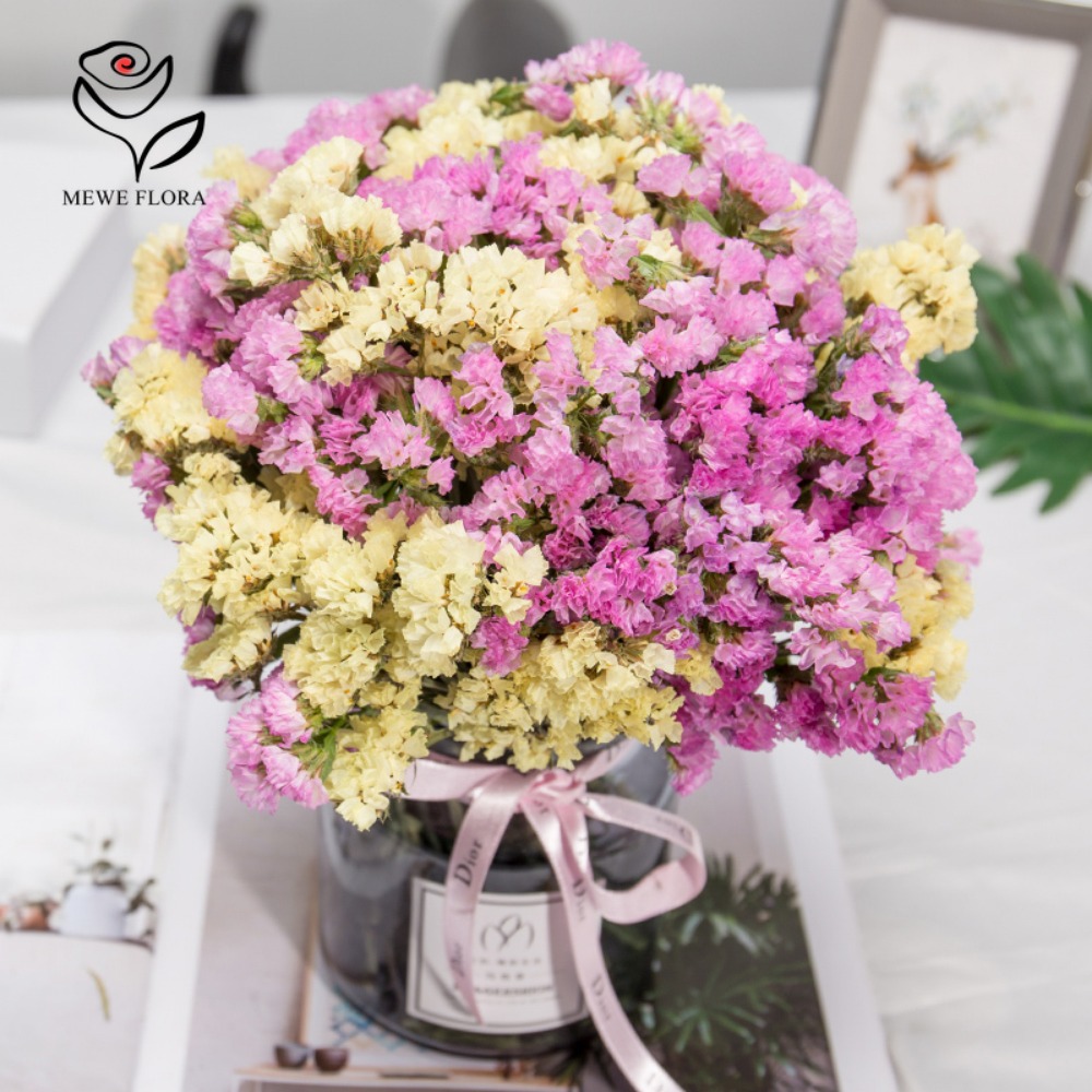 100g Dried Forget Me Not Flowe - Dried Flower Bulk 리뷰 및 가격