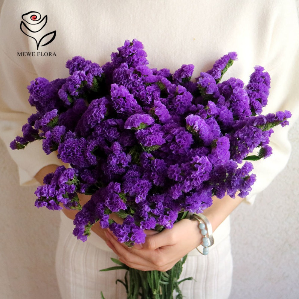 100g Dried Forget Me Not Flowe - Dried Flower Bulk 리뷰 및 가격