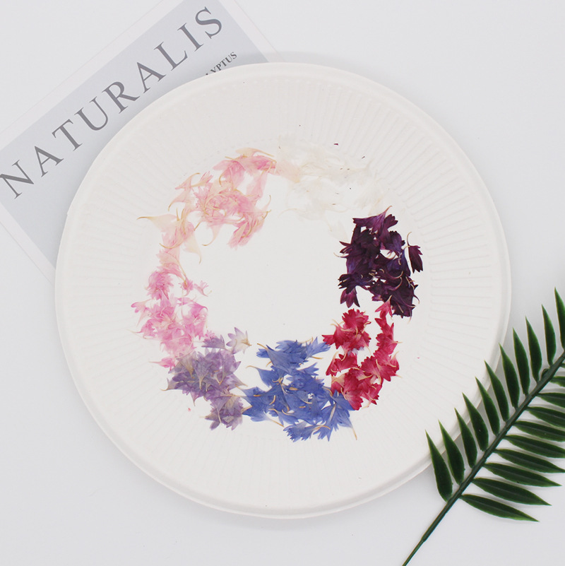 20 Plant Specimens, Cornflower - Resin Jewelry Kit 리뷰 및 가격
