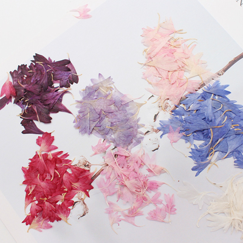 20 Plant Specimens, Cornflower - Resin Jewelry Kit 리뷰 및 가격