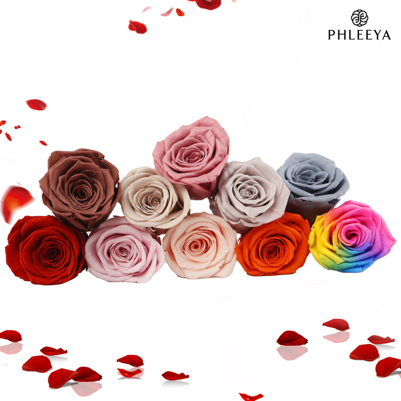 6pcs Eternal Rose Flower Heads - Dried Flower Bulk 리뷰 및 가격