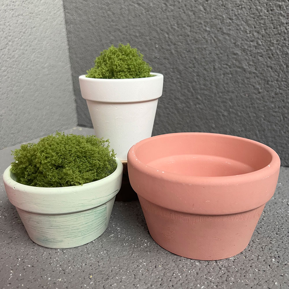 Large Concrete Plant Pot Silic - Coaster Mold Round 리뷰 및 가격