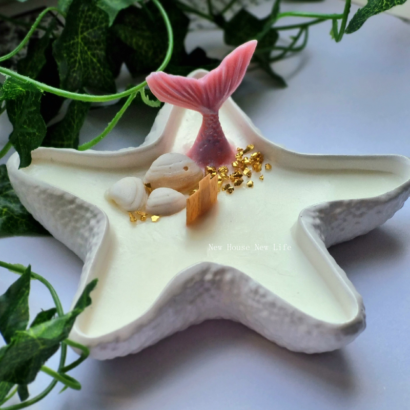 Mini Shell Concrete Storage Tr - Coaster Mold Round 리뷰 및 가격