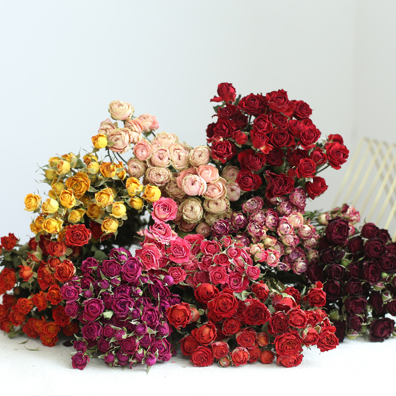 a lot Small Rose, Decorative N - Dried Flower Bulk 리뷰 및 가격