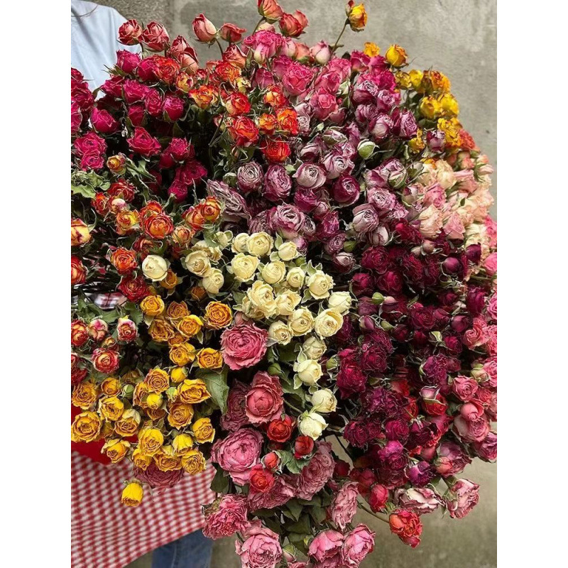 a lot Small Rose, Decorative N - Dried Flower Bulk 리뷰 및 가격