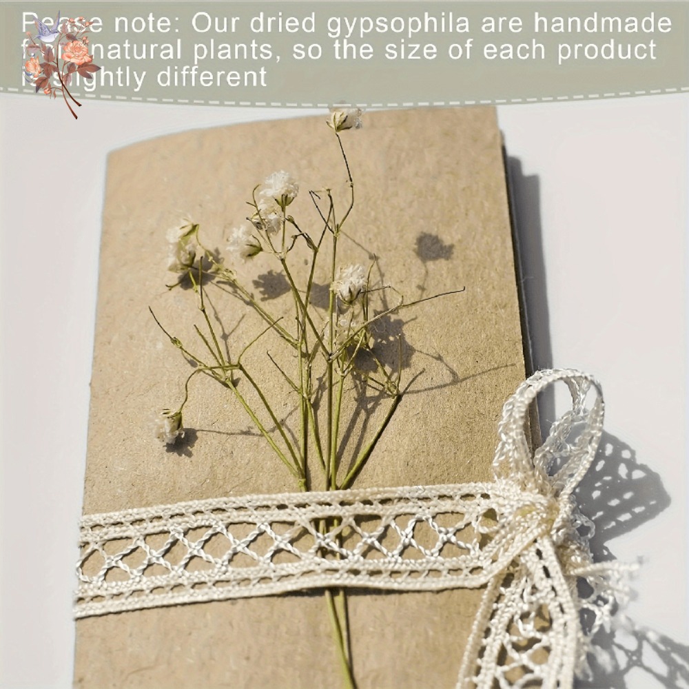 100pcs Mini Dried Baby's Breat - Dried Flower Bulk 리뷰 및 가격